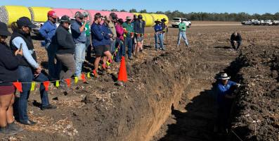 Soils Workshop EMD