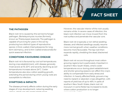 Fact sheet