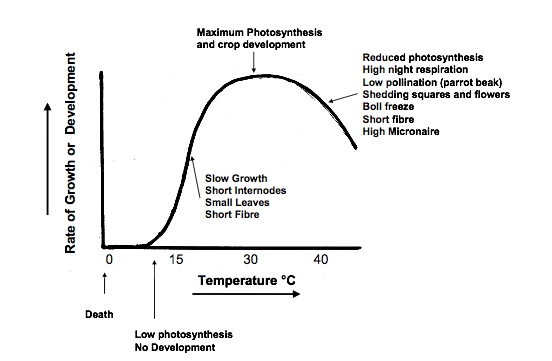 Figure: Summary of consequences of the effect of daily temperature on rate of crop growth and development