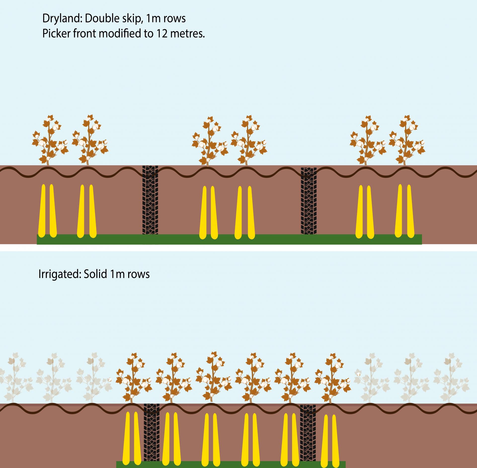 row spacing