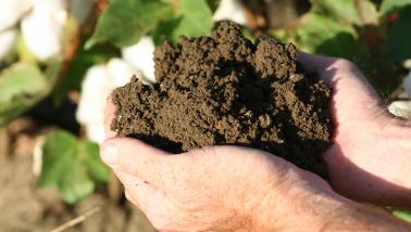 Soil health