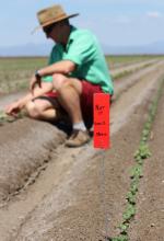 man in field