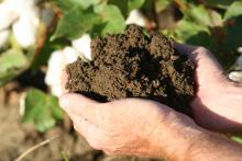 Soil health